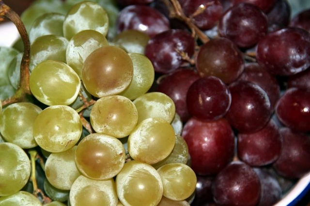 dos racimos de uvas verdes y rojizas